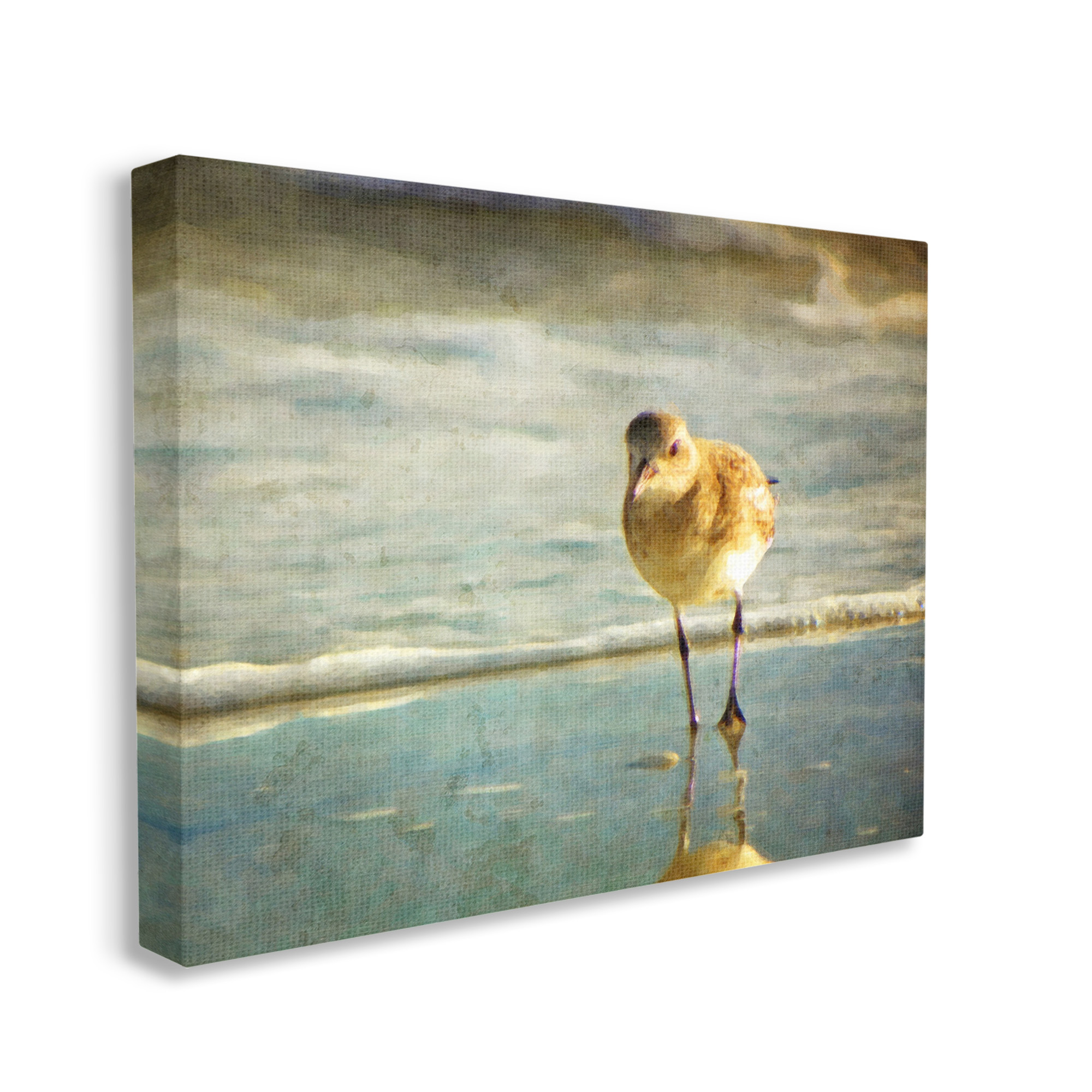 Stupell Industries Stepping Sandpiper at Shore Animals & Insects Photography Gallery Wrapped Canvas Art Print Wall Art, 20 x 16