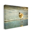 thumbnail image 4 of Stupell Industries Stepping Sandpiper at Shore Animals & Insects Photography Gallery Wrapped Canvas Art Print Wall Art, 20 x 16, 4 of 8