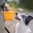 thumbnail image 7 of Silicone Dog Treat Pouch with Waterproof Seal,Dog Training Treat Pouch for Outdoor Hiking and Pet Storage Container,Travel Snack Pouch for Puppy Obedience,1 Pack, 7 of 7