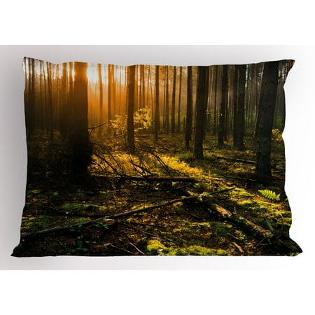Nature Pillow Sham Misty Morning in the Forest with Sun Rays Mother Earth Foliage Dawn Picture, Decorative Standard Size Printed Pillowcase, 26 X 20 Inches, Brown Fern Green, by