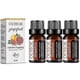 thumbnail image 1 of 1-3pcs 10ml Grapefruit Fat-eliminating Essential Oil Slimming Shaping Slim, 1 of 5