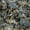 Grey, variant on Psychedelic Print Stretch Velvet