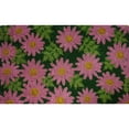 thumbnail image 4 of Imports Decor Daisy Floral Outdoor Door Mat, 4 of 4