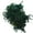 Dark Green, variant on UDIYO Preserved Moss for Crafts Moss Green Plants for Fairy Gardens