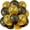 Gold,black, variant on 36 Pcs Cheetah Balloons Leopard Print Balloons 12 Inch Spots Latex Leopard Jungle Animal Decorations for Cheetah Zoo Theme Birthday Party Supplies (Gold,Black)