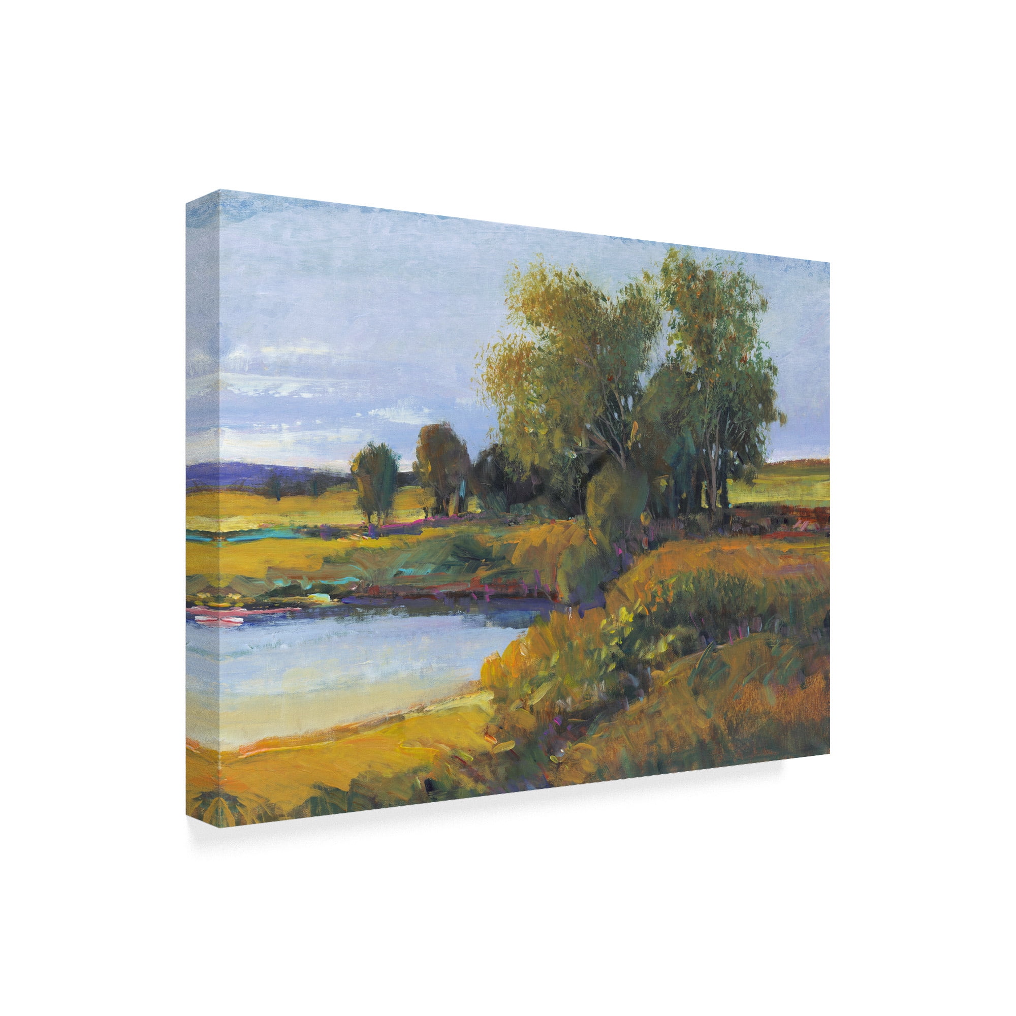 Trademark Fine Art 'Trees Reflection I' Canvas Art by Tim OToole
