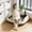 Dark gray#282, variant on 14" Semi-Enclosed Cat Litter Box with High Splash-Proof Sides, Open Top Kitten Toilet with Litter Tracking Pedal & Scoop, Easy to Clean Plastic Sand Basin for Small Cats, 1PK