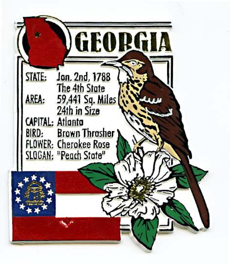 Georgia The Peach Tree State Souvenir Fridge Magnet 