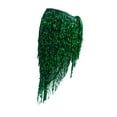 thumbnail image 4 of fenteer Belly Dance Hip Scarf Wrap Dress Clothes Sequins Skirt for Samba Rumba Tango Green, 4 of 8