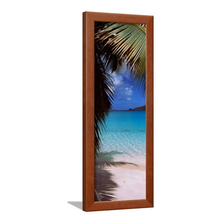 Palm Tree On The Beach Maho Bay Virgin Islands National Park St John Us Virgin Islands Framed Print Wall Art