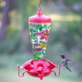 Birdscapes 10Ounce Hand Painted Glass Hummingbird Feeder