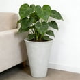 thumbnail image 6 of Tall White Recycled Resin Planter 16.1'' Diameter x 20.1'' Height Indoor & Outdoor Use, 6 of 6
