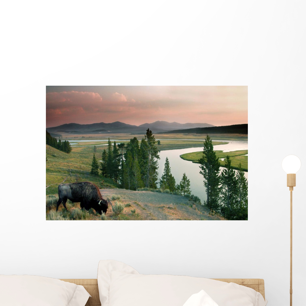 Yellowstone National Park Wall Mural by Wallmonkeys Peel and Stick
