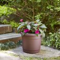 thumbnail image 3 of Southern Patio Rolled Rim Poly-Resin Planter Pot, 3 of 11