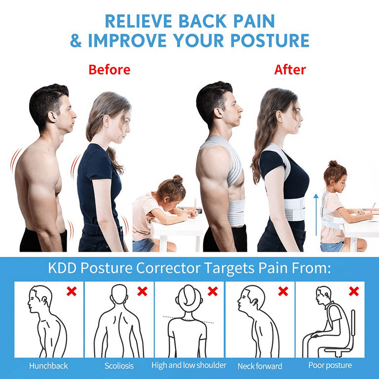 Correct Back Posture While Sitting ( Recommended For Back Pain Makes Every  Chair Ergonomic Lumbar Support, Adjustable Straps) Qrp