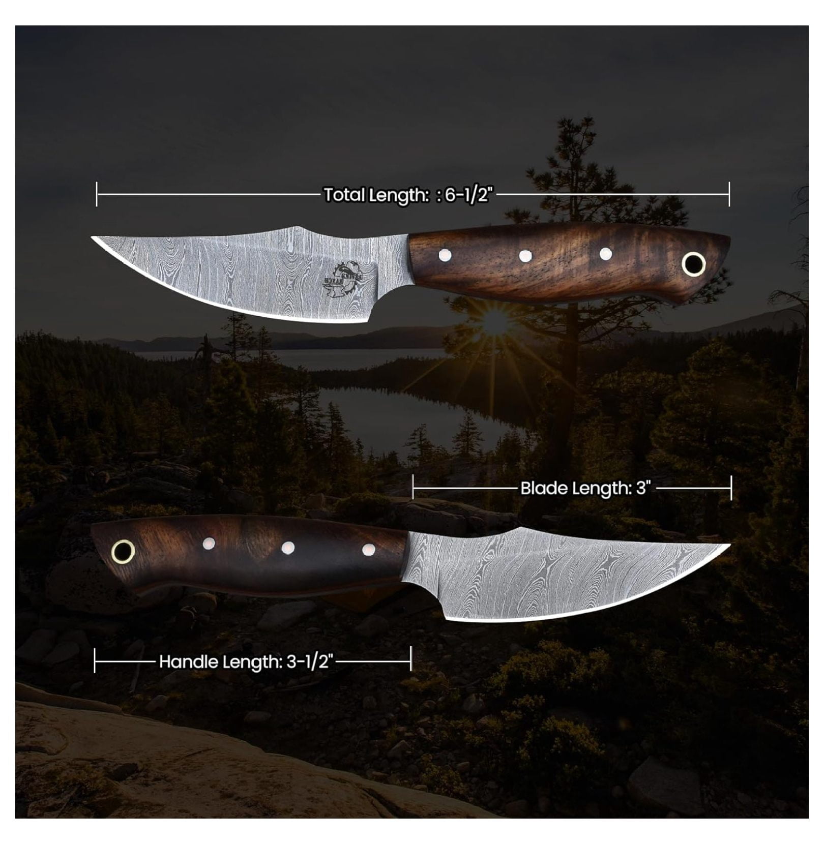 Handmade EDC Fixed Blade Hunting Knife – Forged Damascus Steel – Handle – Horizontal Carry Sheath – Outdoor Knife (3180-IRW)