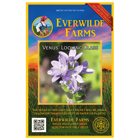 Seeded Glass - Everwilde Farms - 2000 Venus Looking Glass Native Wildflower Seeds - Gold Vault Jumbo Bulk Seed Packet