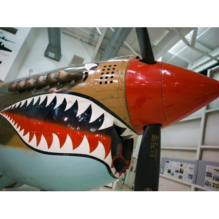 WW2 Era P-40 Tiger Shark Fighter Plane, Palm Springs Air Museum, Palm Springs, California, USA Print Wall Art By Walter