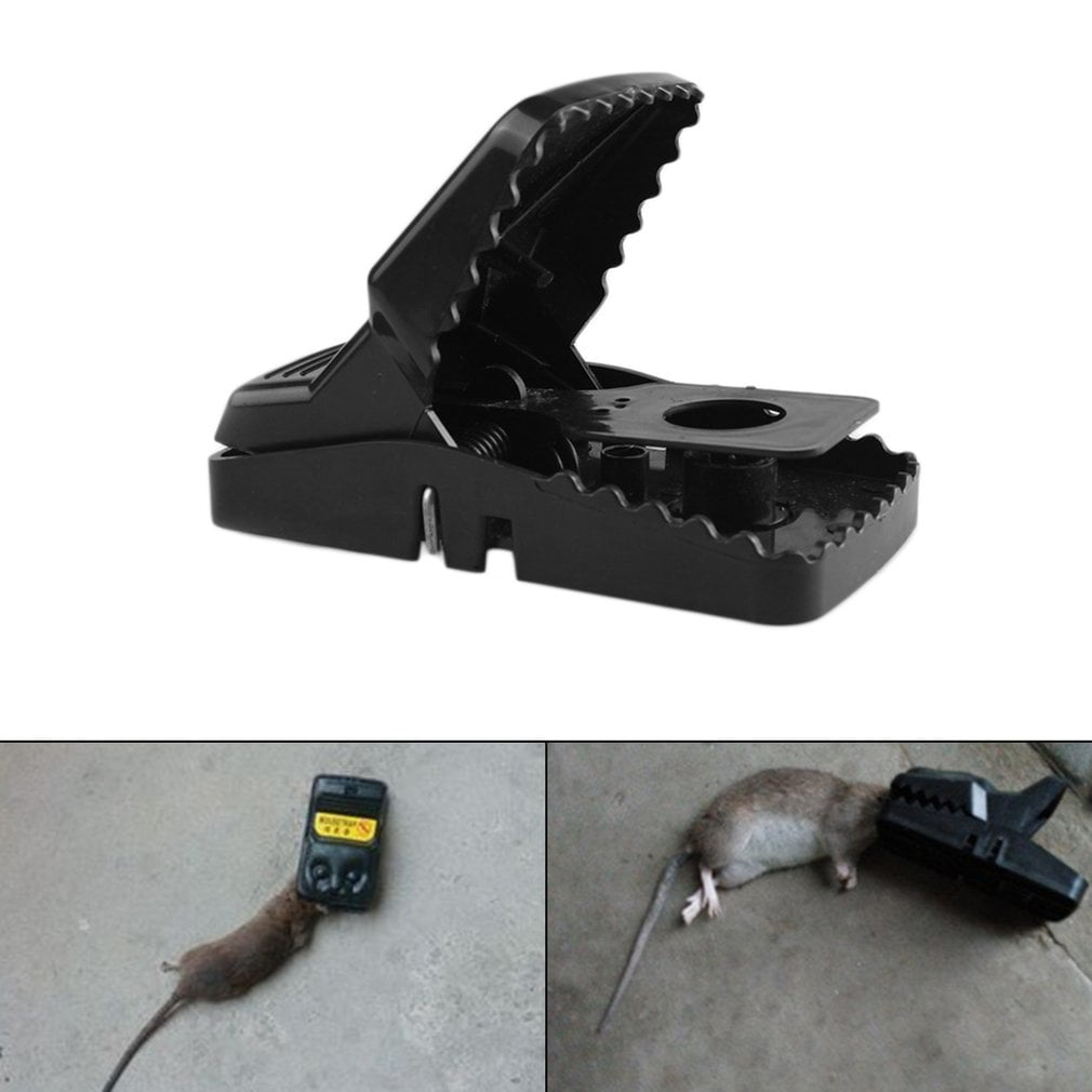 black plastic mouse trap