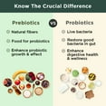 thumbnail image 3 of BB Company Previtalize, Prebiotic for Digestive Gut Health, Compliment to Provitalize, 60 Ct, 3 of 6