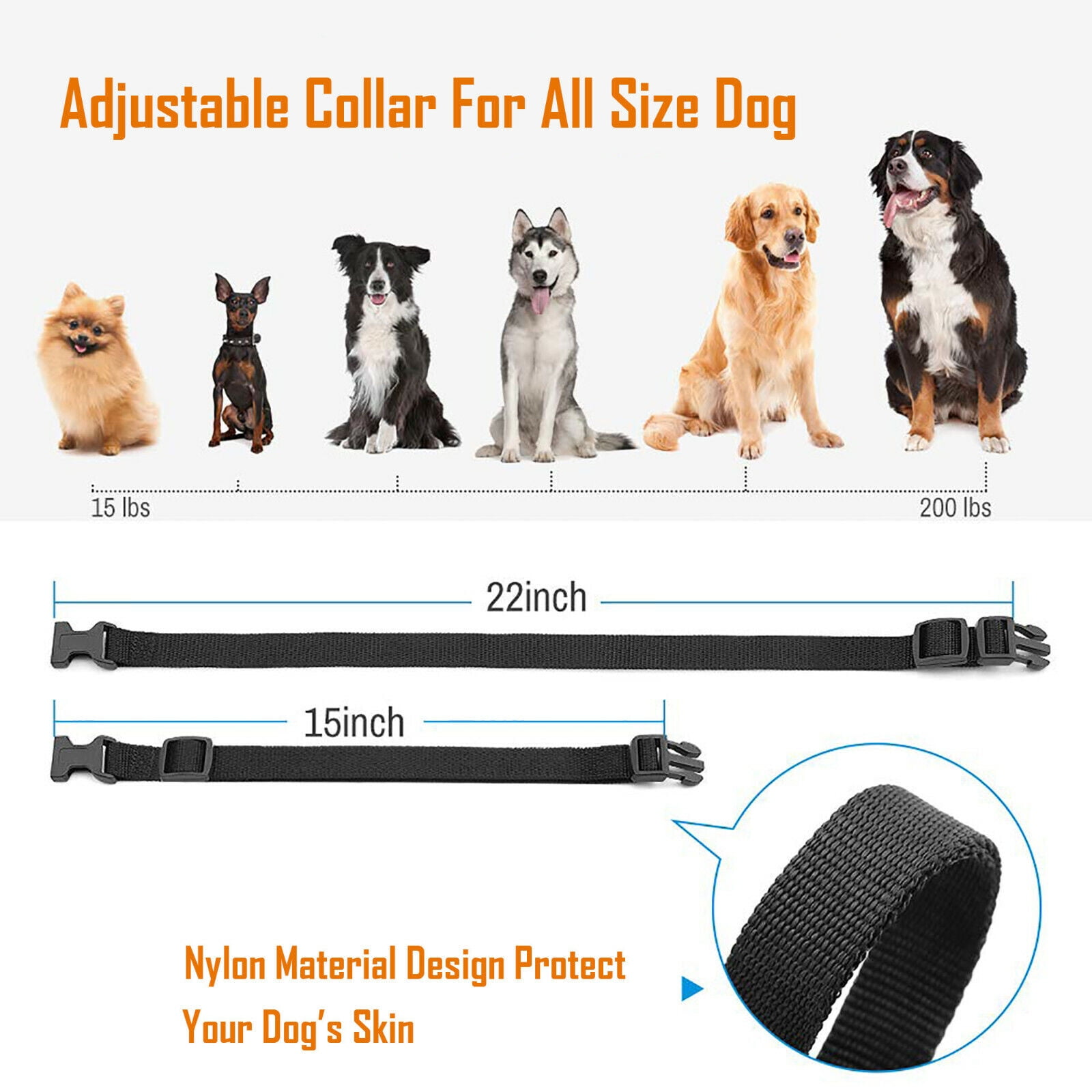 Whizzo tech shock clearance collar