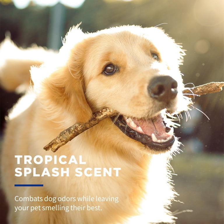 Antibacterial wipes top for dogs walmart