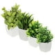thumbnail image 5 of 4 piezas de plantas artificiales de escritorio para decoración del hogar, 5 of 8