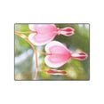 thumbnail image 3 of CADecor In Bud Blankets Throws Blanket Indoor Outdoor Blanket Fleece Blankets 58x80 inches, 3 of 3