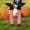 A, variant on Halloween Witch Leg Yard Stake Decoration 2 Pack Foam Prosthetic Legs Outdoor Yard Patio Porch Walkway Indoor Household Halloween Party Decor