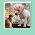 thumbnail image 3 of Hamilco White Cardstock Scrapbook Paper 12x12 Heavy Weight 80 lb Cover Card Stock  25 Pack - Bright White, 3 of 6