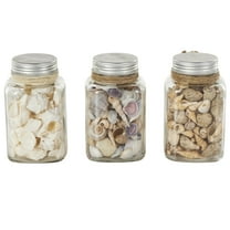 DecMode Clear 3" Glass Orbs & Vase Filler with Seashells and Jute Rope Accents (3 Count)
