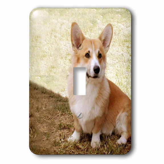 3dRose, Pembroke Welsh Corgi, single toggle switch
