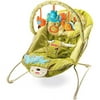Fisher Price - Green Meadows Bouncer