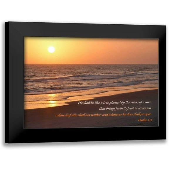 Mansfield, Kathy 14x11 Black Modern Framed Museum Art Print Titled - Sunrise II