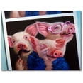 thumbnail image 1 of Drama Piggy Wrapped Canvas Wall Art, 1 of 3