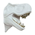 thumbnail image 3 of Hi-Line Gift Ltd 75642-C-WT Dinosaur Head Sculpture White Color Wall Mounted Ornament, 3 of 5