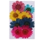 thumbnail image 2 of Variedad de Hojas Secas Naturales Prensadas Soledad para La Fabricación de La Tarjeta de Los Artes de DIY Arts Crisantemo, 2 of 10