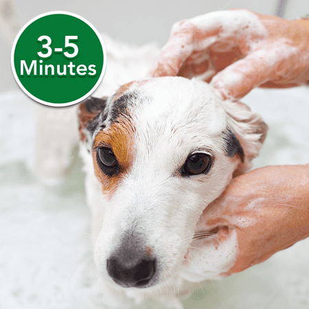 Vet's Best Flea Itch Relief Dog Shampoo