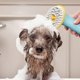 thumbnail image 4 of Cepillo de baño para Mascotas | Cepillo de baño para Perros 3 en 1 con dispensador de jabón y champú - El Cepillo de Lavado para Perros con Cabeza de Cepillo Suave, el depurador para Perros ShuxiuWang 9024715989253, 4 of 4