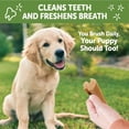 thumbnail image 6 of Wellness WHIMZEES Puppy Dog Dental Treats, Medium & Large Size Stick, (14 Count), 6 of 9