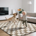 thumbnail image 3 of 4x6 Checkered Area Rugs for Bedroom, Fluffy Beige and White Checkered Rug Fuzzy Shag Shaggy Carpets for Living Room, Soft Plush Furry Rug for Boy Girls Room Dorm Home Decor, 3 of 15