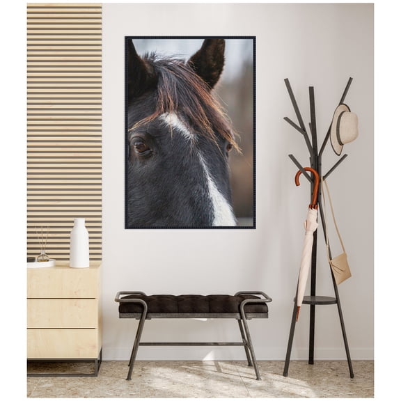 Kate and Laurel Framed Canvas Wall Art Print Black and White Horse by Emiko and Mark Franzen F2 Images, 28 x 41 Sylvie Beaded Black Frame, Rustic Farmhouse, Animal Art for Wall Decor