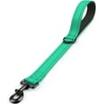 thumbnail image 1 of WQLPP-Laisse Courte pour Chien 18 Pouces, 1,2 Pouce de Large, Poignée Rembourrée Robuste pour Contrôle de la Circulation, Laisse Réfléchissante pour Marche et Entraînement des Chiens Moyens et Grands, Turquoise, 1 of 4