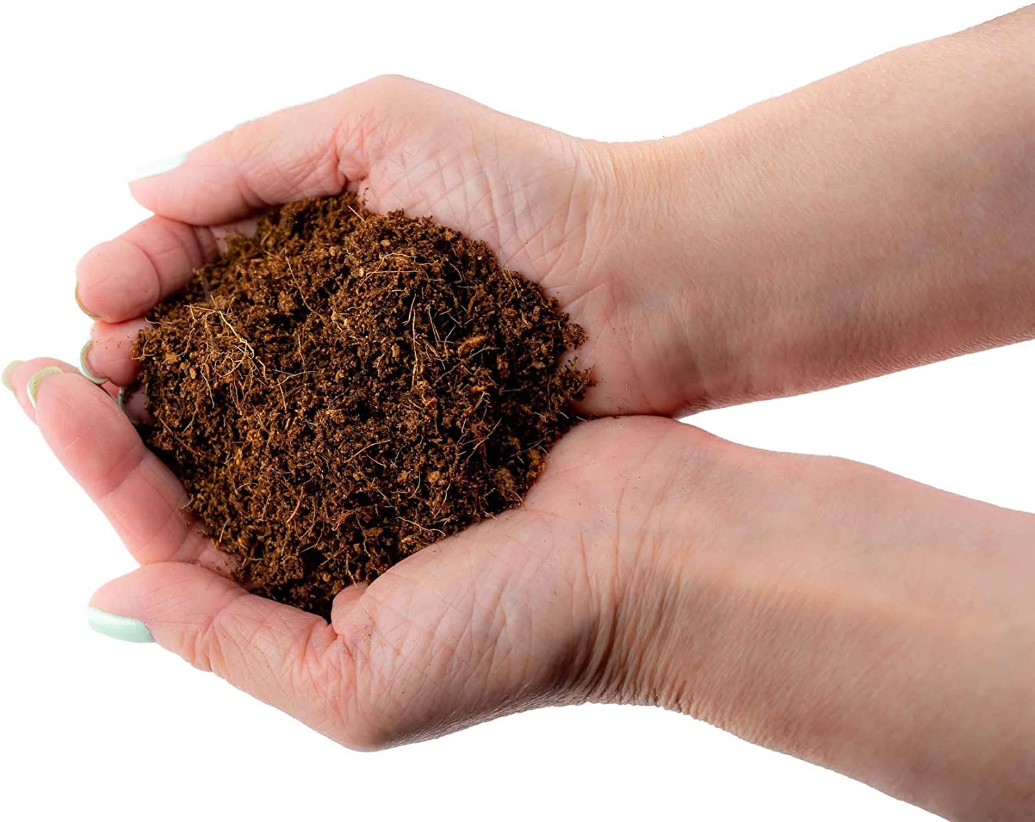 ⭐ PREMIUM Organic Coconut Coir Mix for Home Gardening - All Natural Soil Amendment - PH Balanced and Double Washed Coco Coir by ://N ★ LOVA - 1 Quart Bag - image 3 of 4