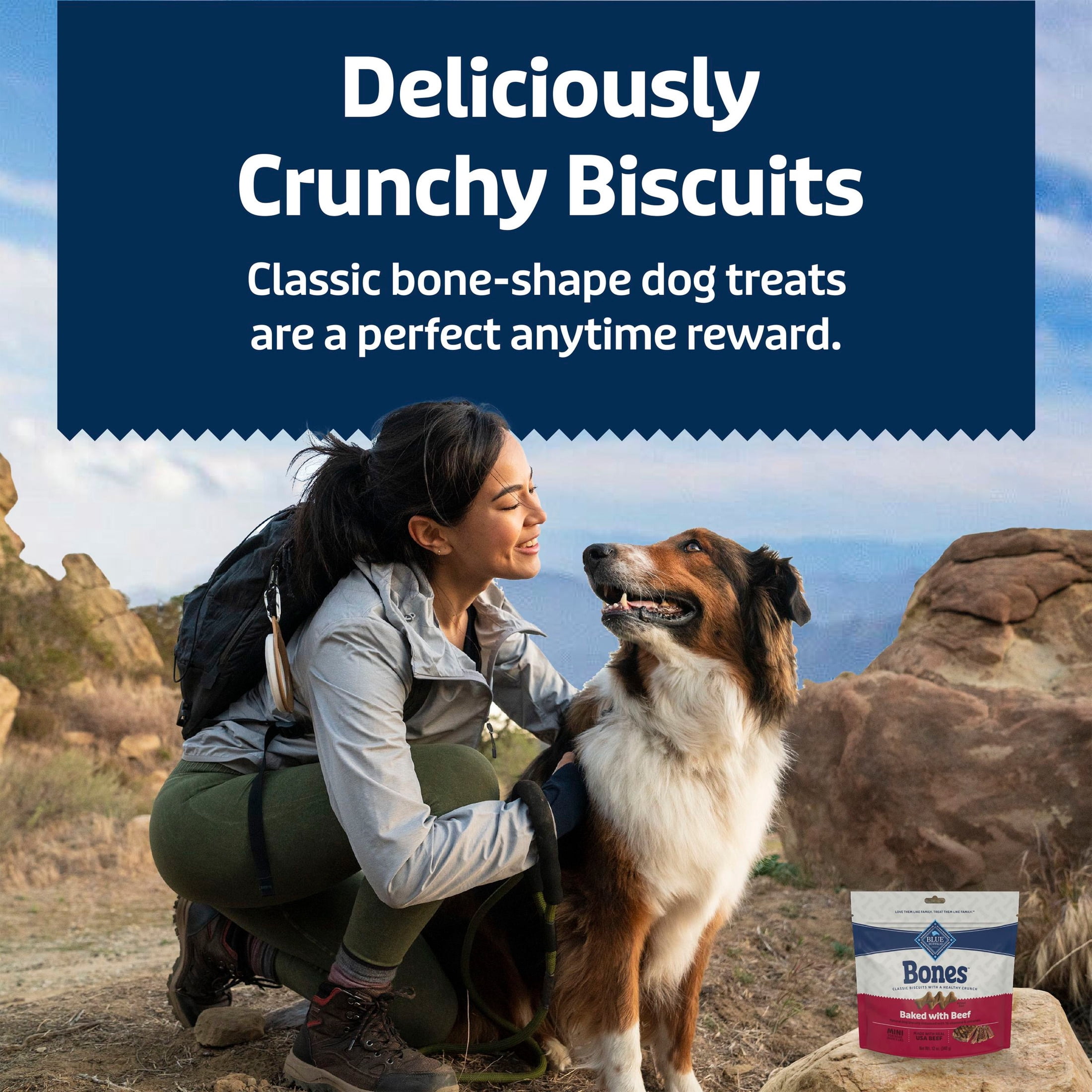 Blue Buffalo Bones Natural Crunchy Biscuits Mini Beef Dog Treats, 12-oz Bag