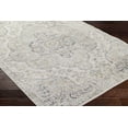 thumbnail image 3 of Hauteloom Manju Hallway, Kitchen Runner Rug - Traditional - Cream, Beige, Medium Gray - 2'7" x 7'7", 3 of 9