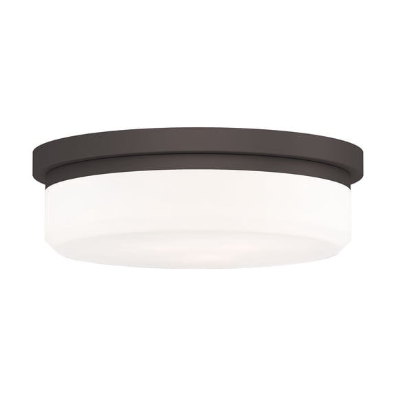 Livex Lighting Ceiling Mount or Wall Mount