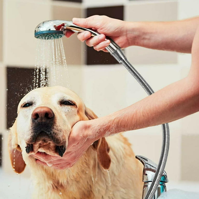 Long shower hose online