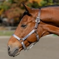 thumbnail image 2 of Equinavia Loki Adustable Breakaway Horse Halter, 2 of 5