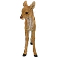 thumbnail image 3 of Design Toscano Statue de Jardin Faon Cerf, 3 of 4